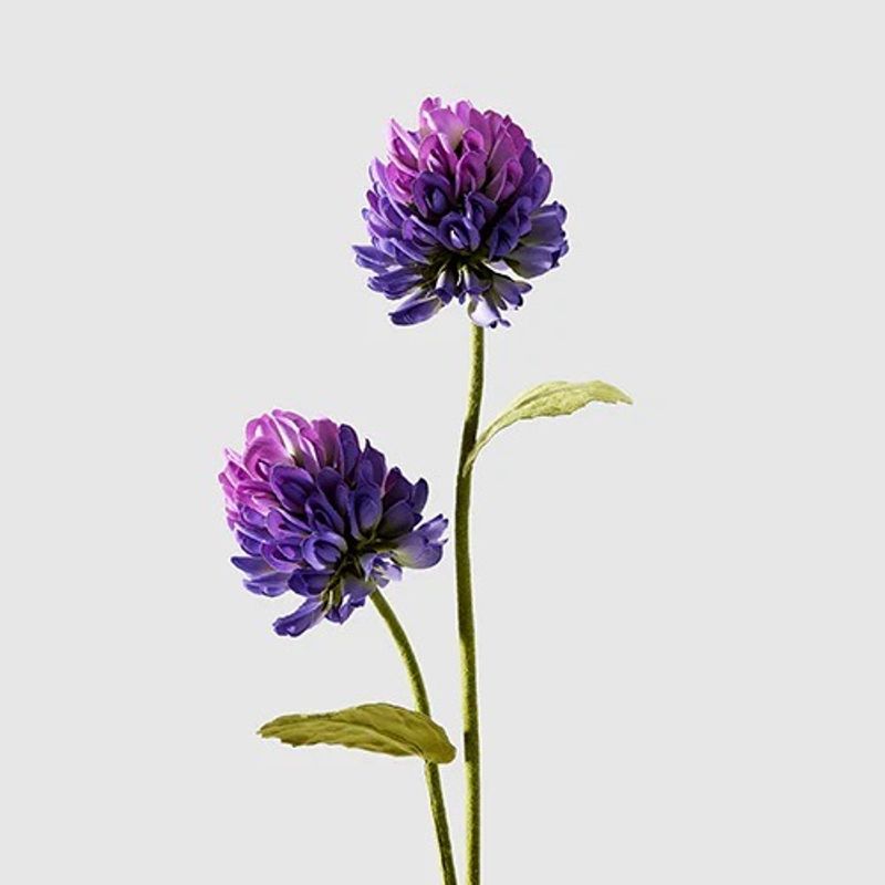 Bakuchiol Serum (Mildt Retinol-alternativ) | Bam and Boo
