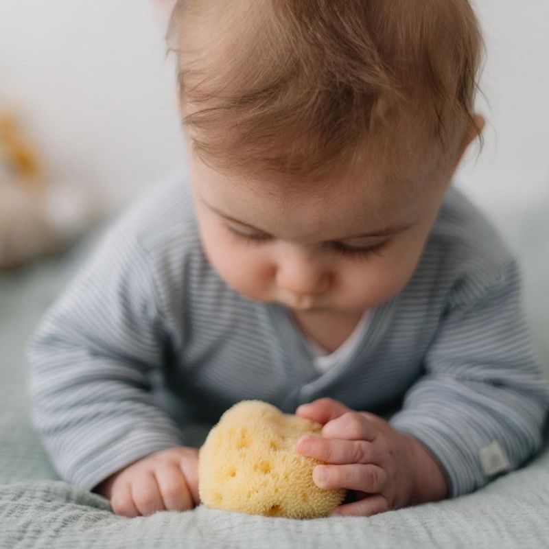Naturlig Babysvamp - Plastfri | Croll & Denecke
