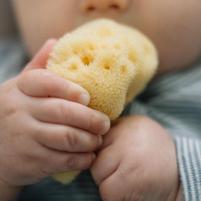 Naturlig Babysvamp - Plastfri | Croll & Denecke